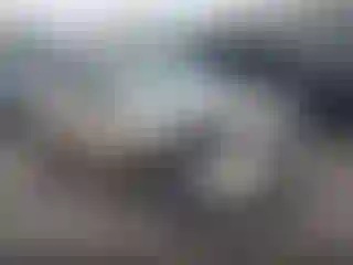 Vehicle Image- 2009 Toyota RAV4
