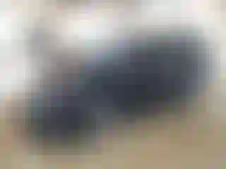 Vehicle Image- 2025 Toyota RAV4