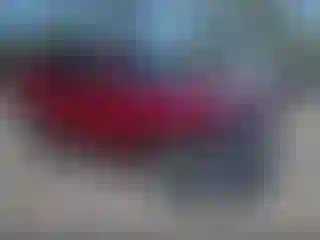 Vehicle Image- 2023 Toyota RAV4