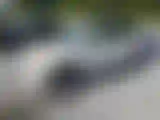 Vehicle Image- 2011 Toyota RAV4