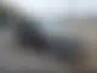 Vehicle Image- 2011 Toyota RAV4