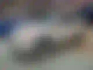 Vehicle Image- 2010 Toyota RAV4