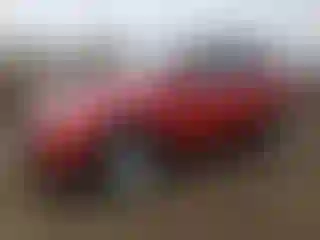 Vehicle Image- 2015 Toyota RAV4