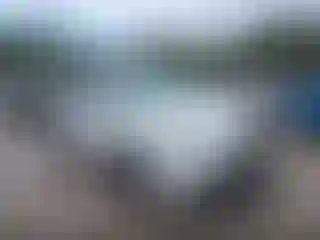 Vehicle Image- 2017 Toyota RAV4