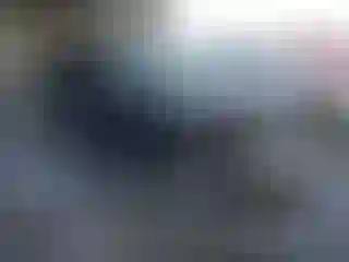 Vehicle Image- 2019 Toyota RAV4