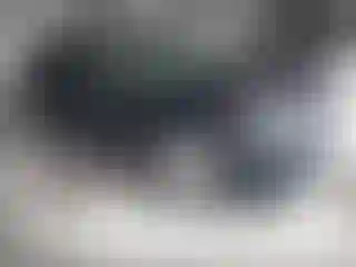 Vehicle Image- 2020 Toyota RAV4