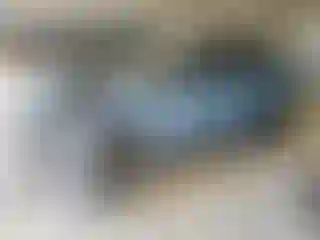 Vehicle Image- 2024 Toyota RAV4