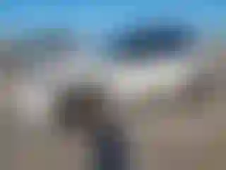 Vehicle Image- 2021 Toyota RAV4