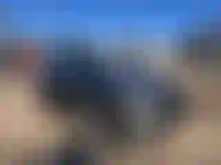 Vehicle Image- 2021 Toyota RAV4