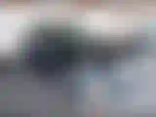 Vehicle Image- 2021 Toyota RAV4
