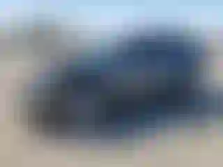 Vehicle Image- 2020 Toyota RAV4