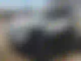 Vehicle Image- 2024 Toyota RAV4
