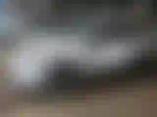 Vehicle Image- 2022 Toyota RAV4