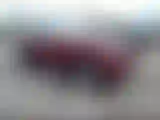 Vehicle Image- 2024 Toyota RAV4