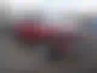 Vehicle Image- 2021 Toyota RAV4