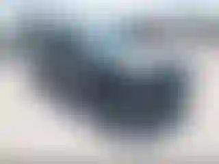 Vehicle Image- 2019 Toyota RAV4