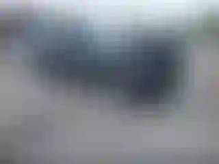 Vehicle Image- 2023 Toyota RAV4