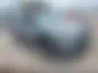 Vehicle Image- 2023 Toyota RAV4