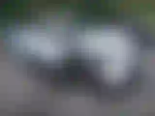 Vehicle Image- 2020 Toyota RAV4