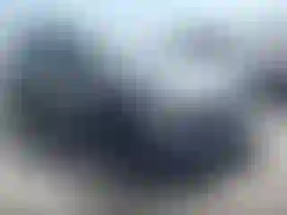 Vehicle Image- 2021 Toyota RAV4