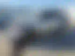 Vehicle Image- 2020 Toyota RAV4