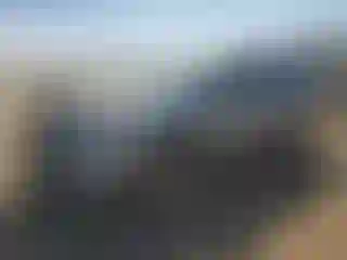 Vehicle Image- 2021 Toyota RAV4
