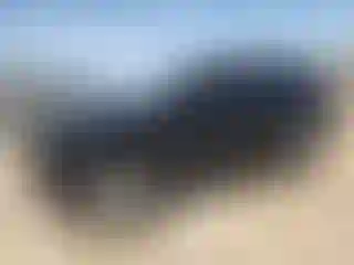 Vehicle Image- 2020 Toyota RAV4