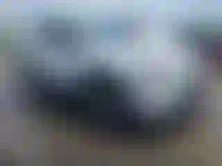 Vehicle Image- 2019 Toyota RAV4