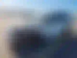 Vehicle Image- 2021 Toyota RAV4