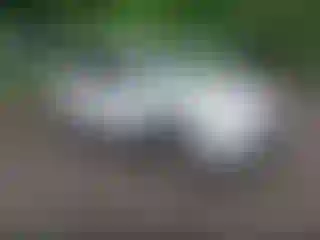 Vehicle Image- 2023 Toyota RAV4