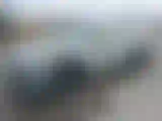 Vehicle Image- 2020 Toyota RAV4
