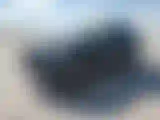 Vehicle Image- 2019 Toyota RAV4