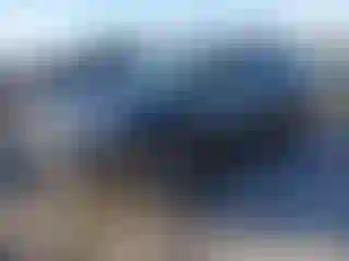 Vehicle Image- 2020 Toyota RAV4