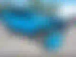 Vehicle Image- 2019 Toyota RAV4