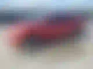 Vehicle Image- 2010 Toyota RAV4
