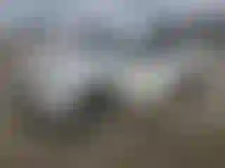 Vehicle Image- 2020 Toyota RAV4