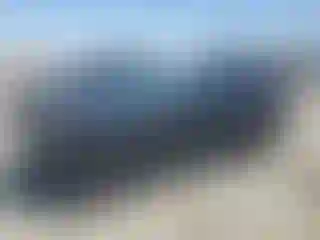 Vehicle Image- 2016 Toyota RAV4