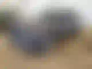 Vehicle Image- 2022 Toyota RAV4