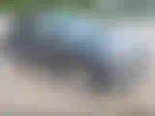 Vehicle Image- 2020 Toyota RAV4