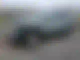 Vehicle Image- 2021 Toyota RAV4