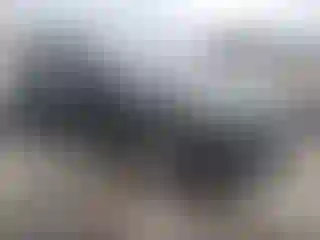 Vehicle Image- 2023 Toyota RAV4