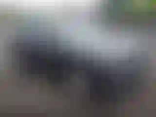 Vehicle Image- 2021 Toyota RAV4