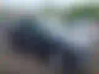 Vehicle Image- 2020 Toyota RAV4