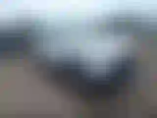 Vehicle Image- 2020 Toyota RAV4