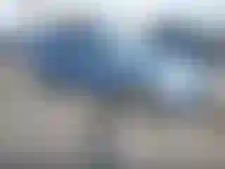 Vehicle Image- 2011 Toyota RAV4
