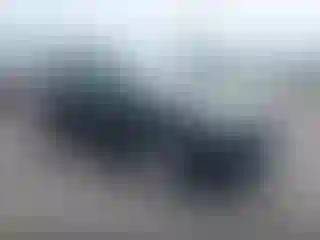 Vehicle Image- 2020 Toyota RAV4