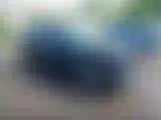 Vehicle Image- 2024 Toyota RAV4