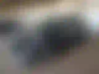 Vehicle Image- 2024 Toyota RAV4