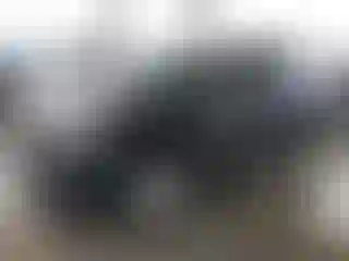 Vehicle Image- 2021 Toyota RAV4