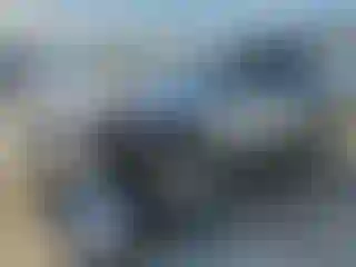 Vehicle Image- 2021 Toyota RAV4